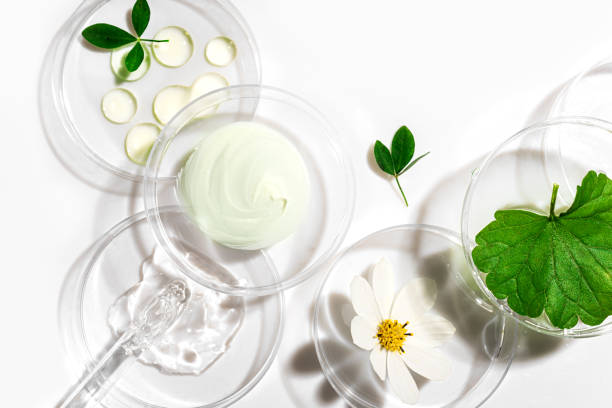 Beauty & Skin Care